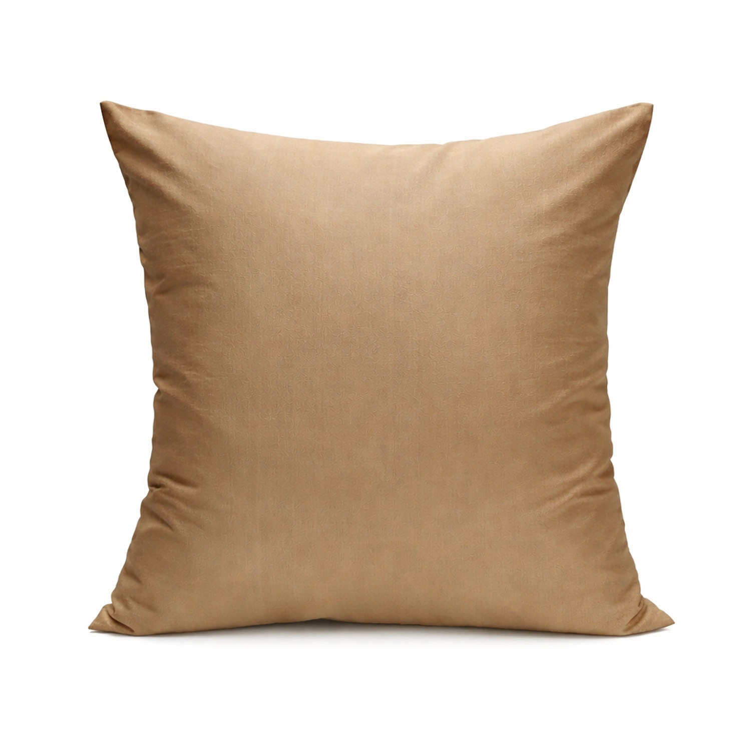 Golden beige Thai silk cushion