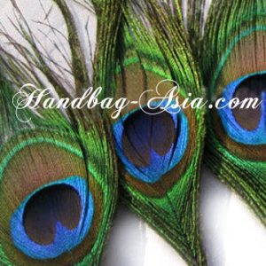 Thai Peacock Feathers