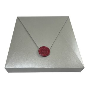 Silver envelope mailing box